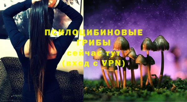 спиды Абаза