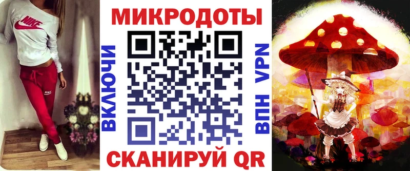 закладки  Ясный  Галлюциногенные грибы Psilocybine cubensis 